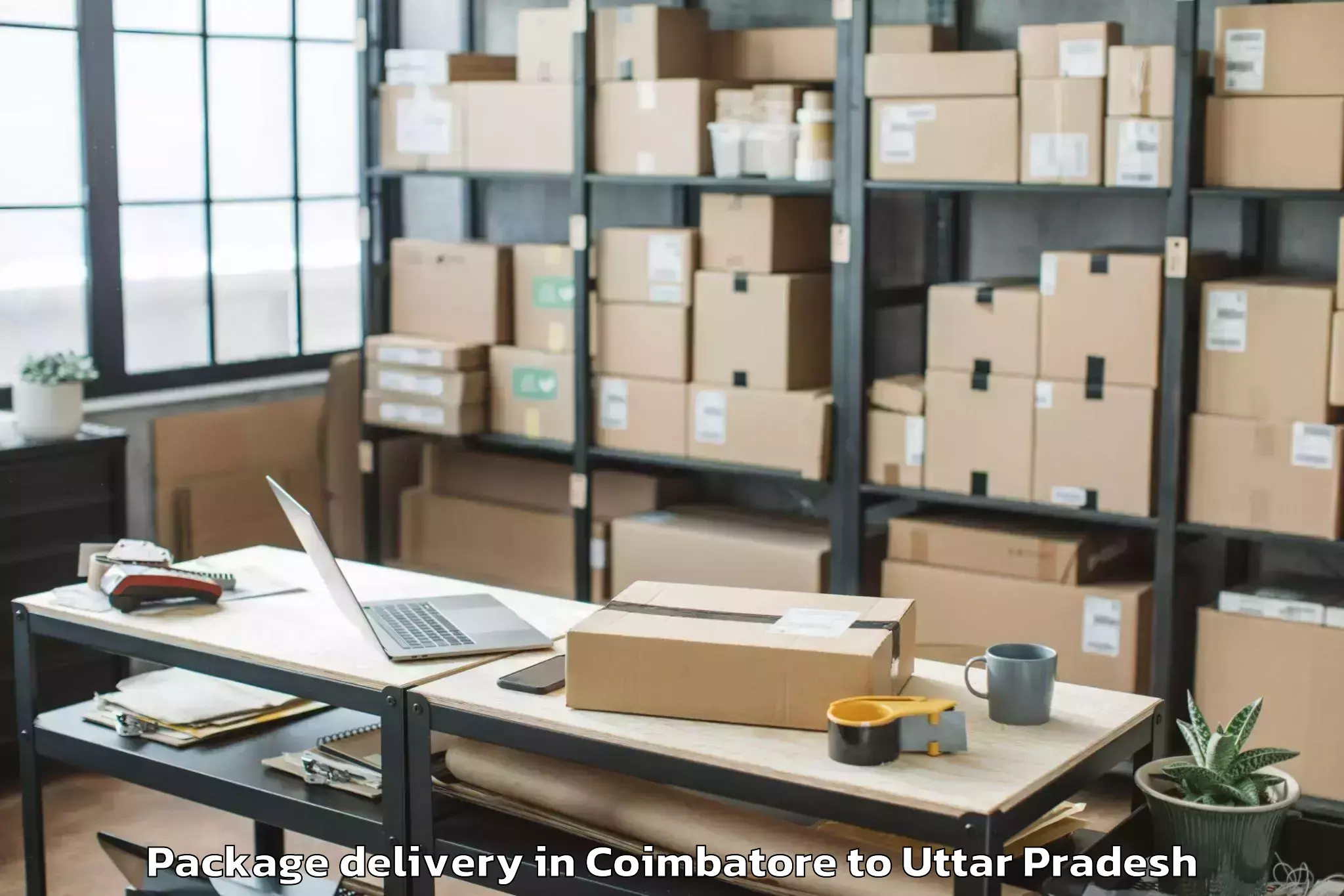 Quality Coimbatore to Talbehat Package Delivery